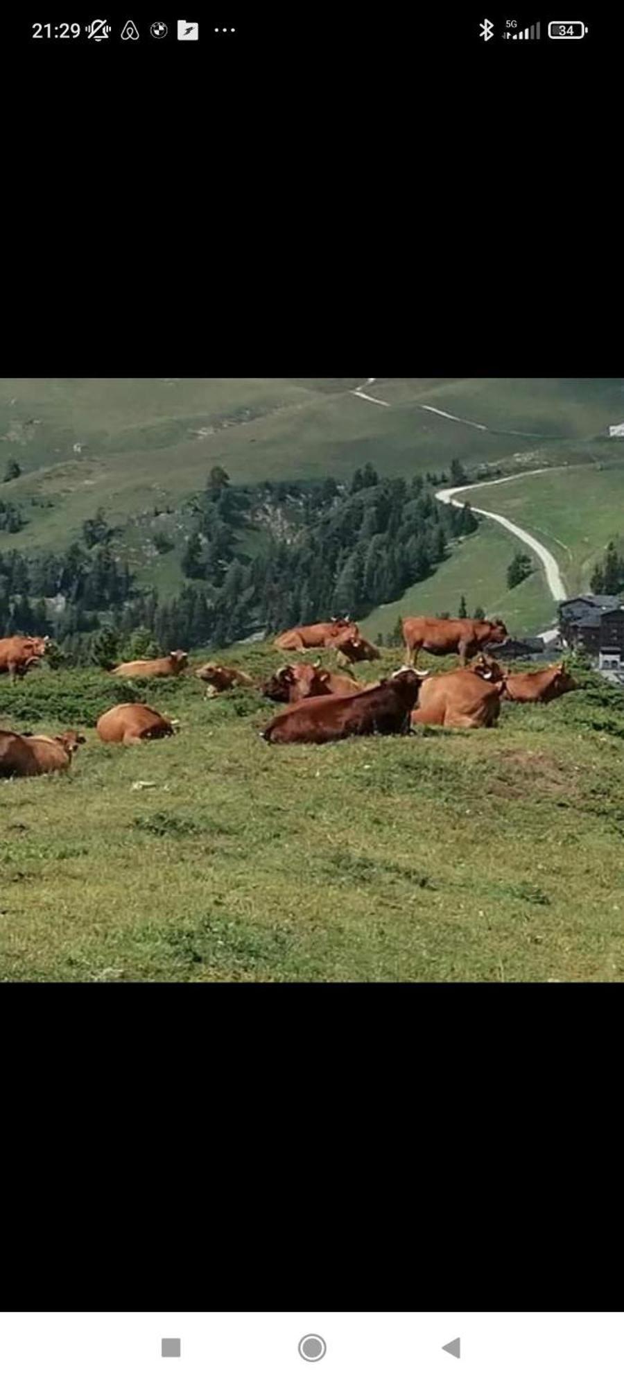 Studio Au Pied Des Pistes Avec Vue Sur La Montagne Mieussy Εξωτερικό φωτογραφία